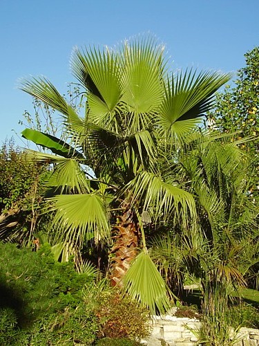 055.14 octobre 2009.JPG