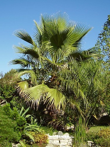 069.14 octobre 2011.JPG