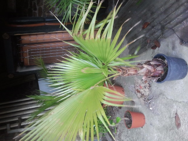 2012-11-28 15.01.52.jpg