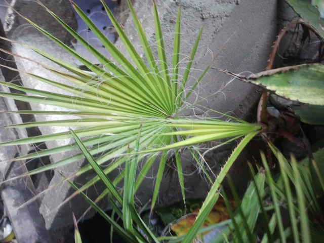 2012-11-28 15.02.12.jpg