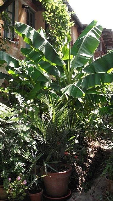 DSCF1183.JPG