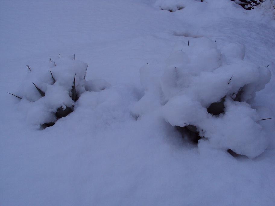 Photo 4329.jpg