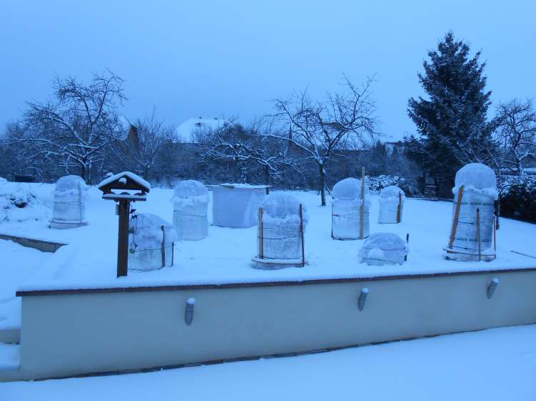 DSCN0508.JPG
