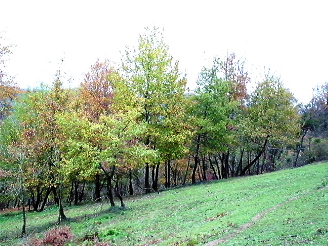 HPIM1207.JPG