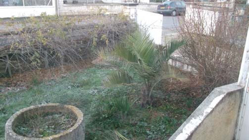 DSCF0494.jpg