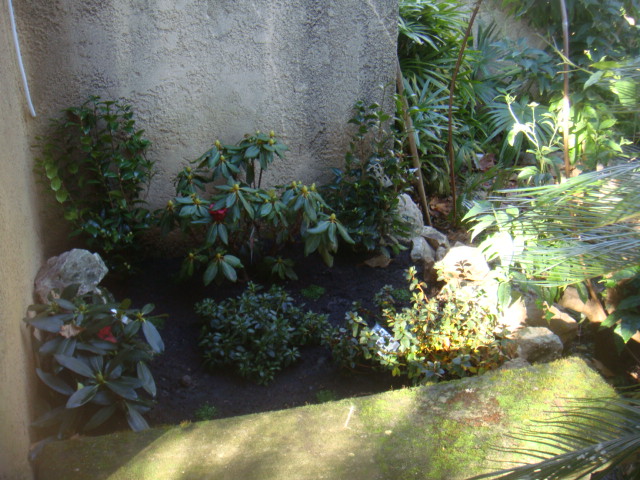 DSC04830.JPG