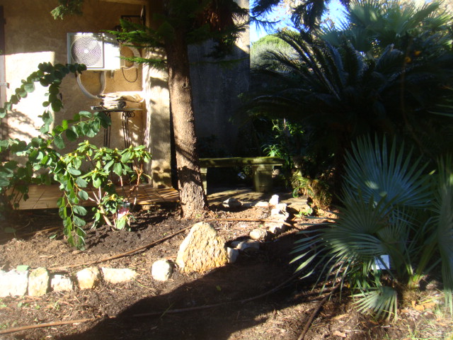DSC04829.JPG