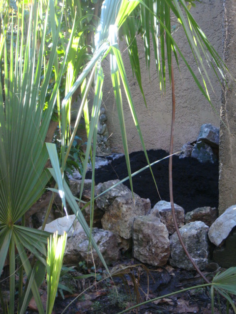 DSC04827.JPG