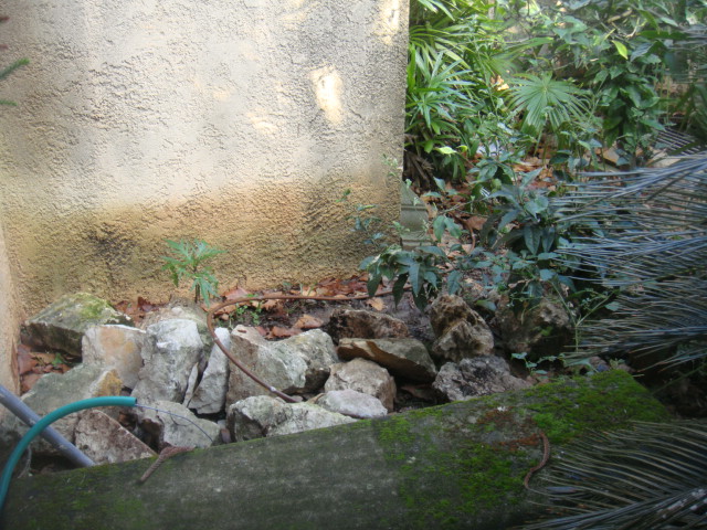 DSC04823.JPG