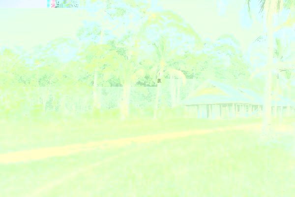 Un carbet typique de guyane