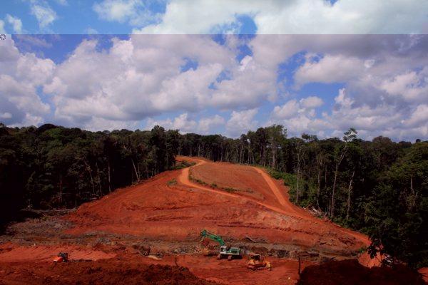 Un vrai boulevard amazonien