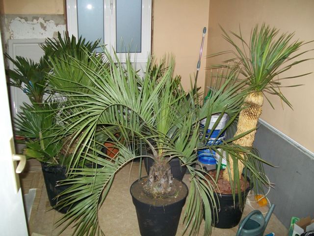 Photo 725.jpg