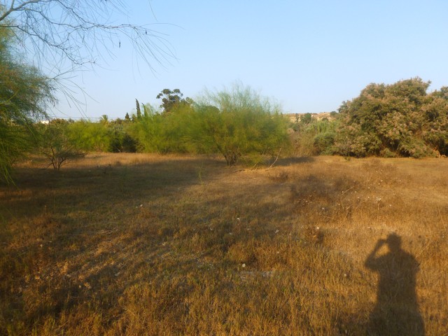 P1010526-modified.jpg