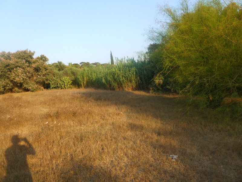 P1010527.jpg