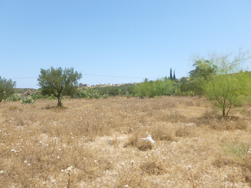P1010201.jpg