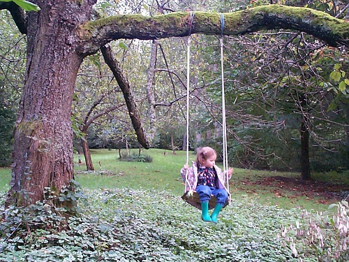 Il porte une balançoire et beaucoup de cerises les bonnes années