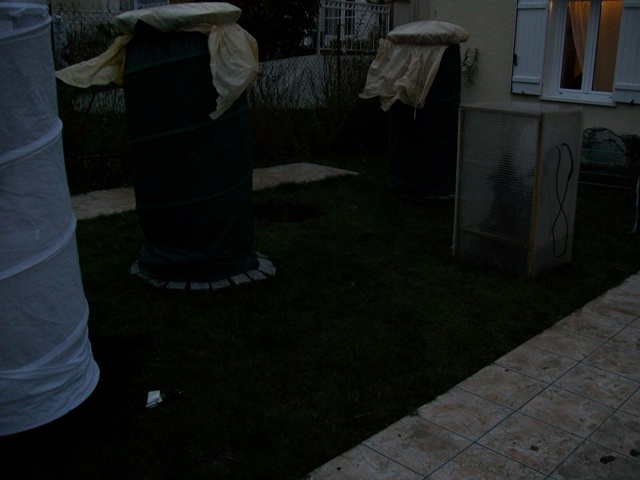 Photo 737.jpg
