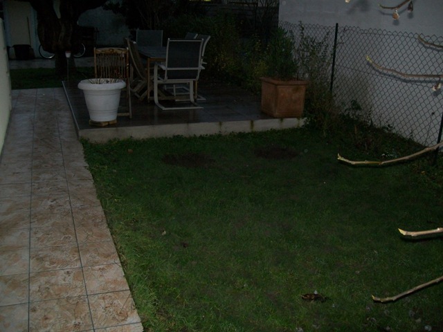 Photo 740.jpg