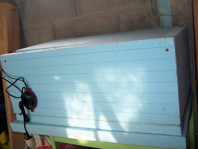 100_4830 (Copier).JPG