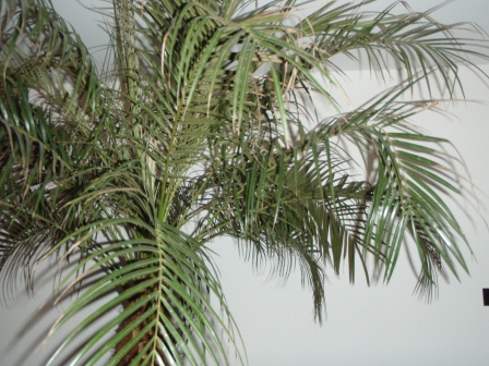 detail 1