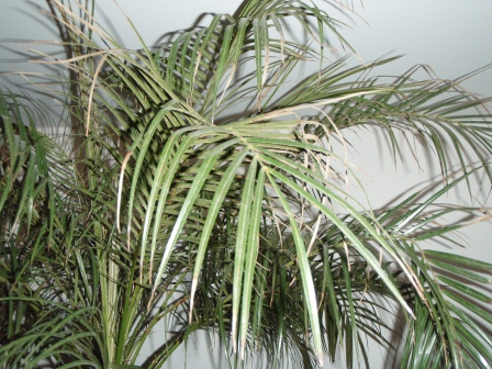 detail 5