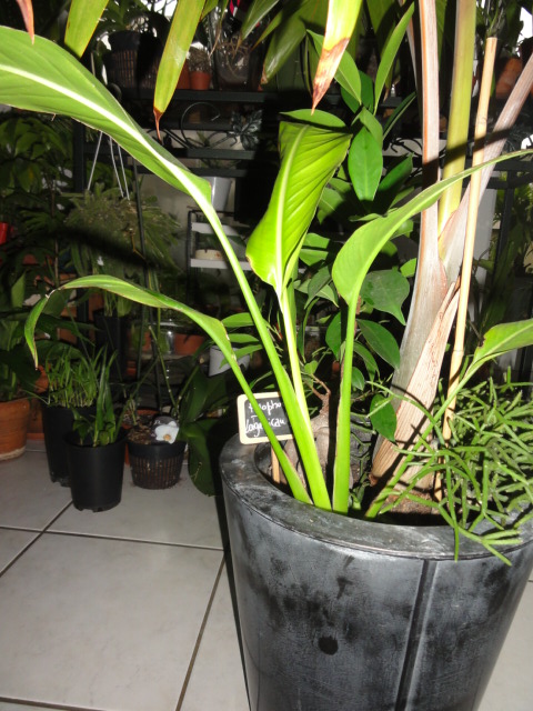 DSC04948.JPG