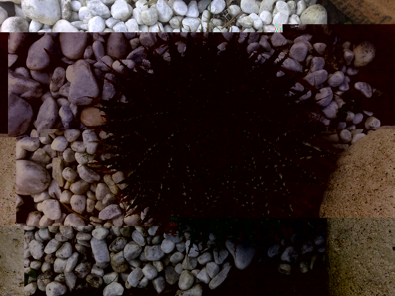 21112009523FDP.jpg