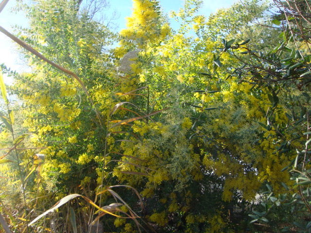 DSC01591.JPG