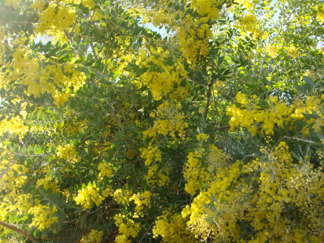 DSC01593.JPG