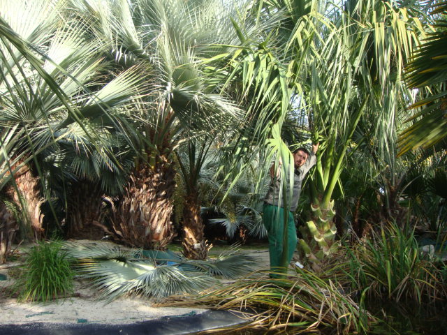 DSC01595.JPG
