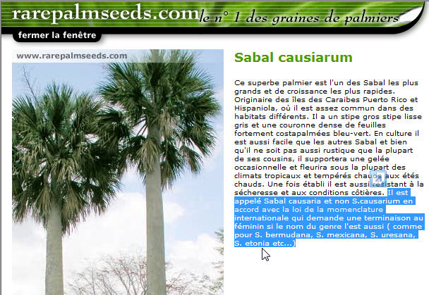 sabal_causarium.jpg