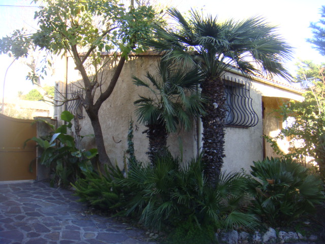humilis ,vulcano erythrine et nicolai