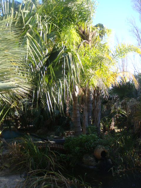 DSC04895.JPG