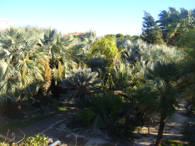 DSC04916.JPG