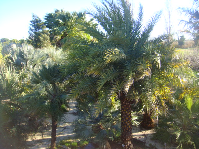 DSC04917.JPG