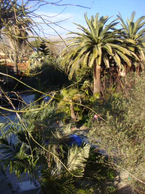 DSC04919.JPG