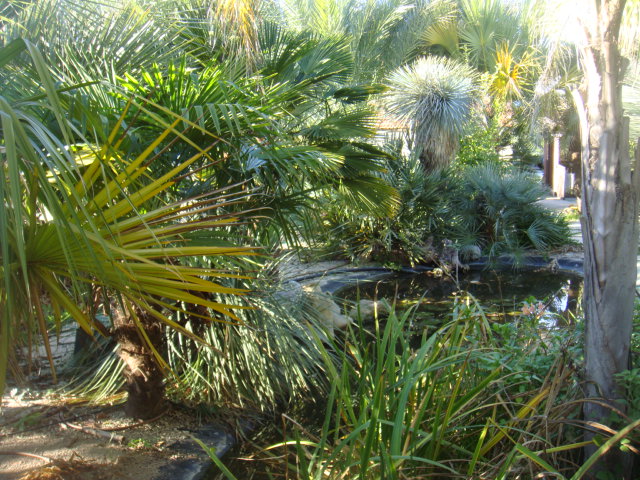 DSC04923.JPG