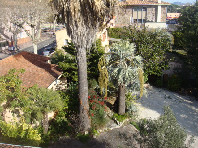 DSC04929.JPG