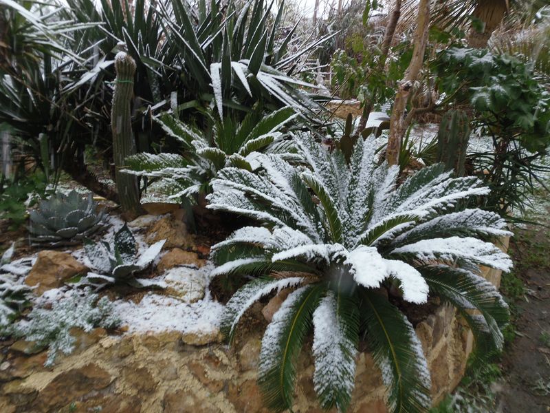 P1160085 [800x600].JPG