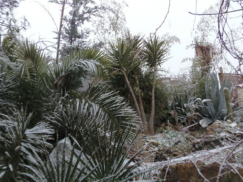 P1160097 [800x600].JPG