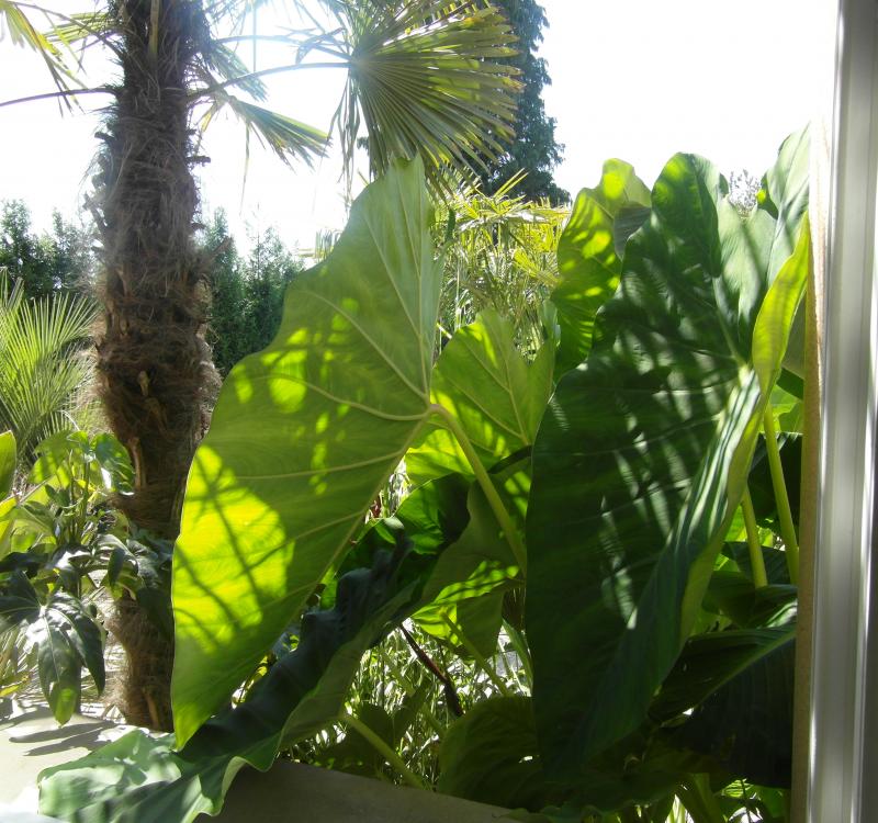 img 10.jpg