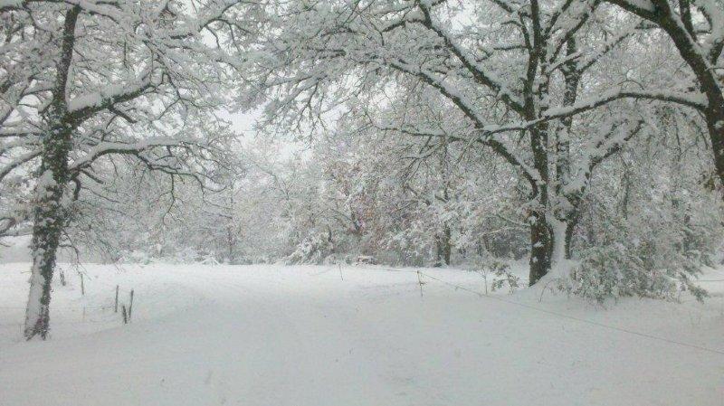 2013-01-16_13-22-59_879 (2).jpg