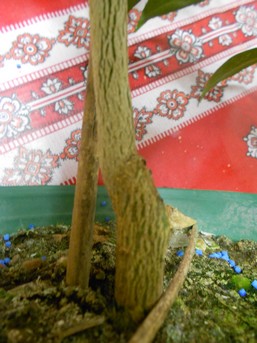 DSCN1190.JPG