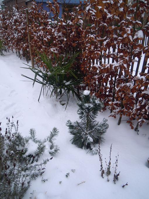 DSCN3045.jpg