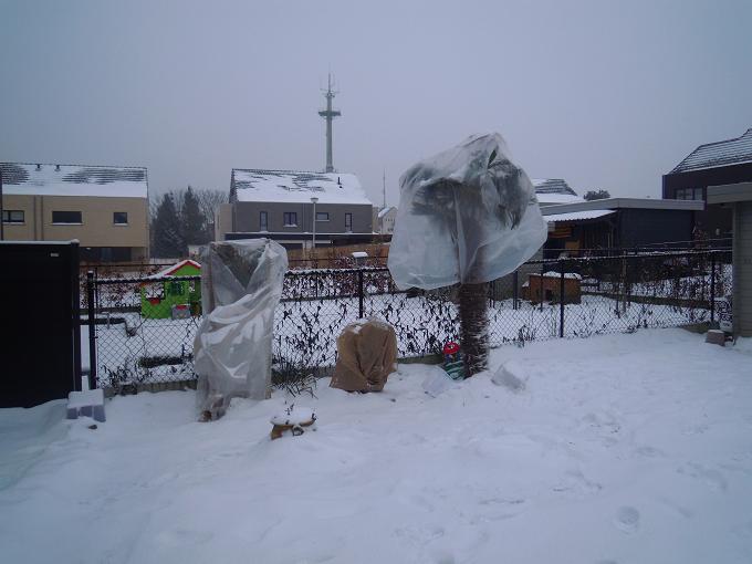 DSCN3046.jpg