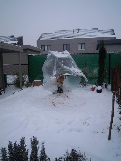 DSCN3047.jpg