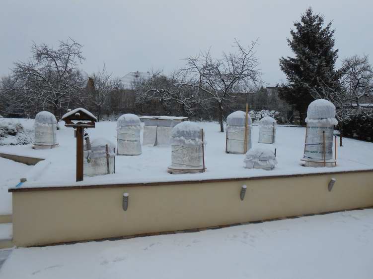 DSCN0526.JPG