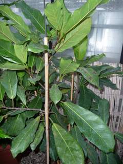 P1050178-001.JPG