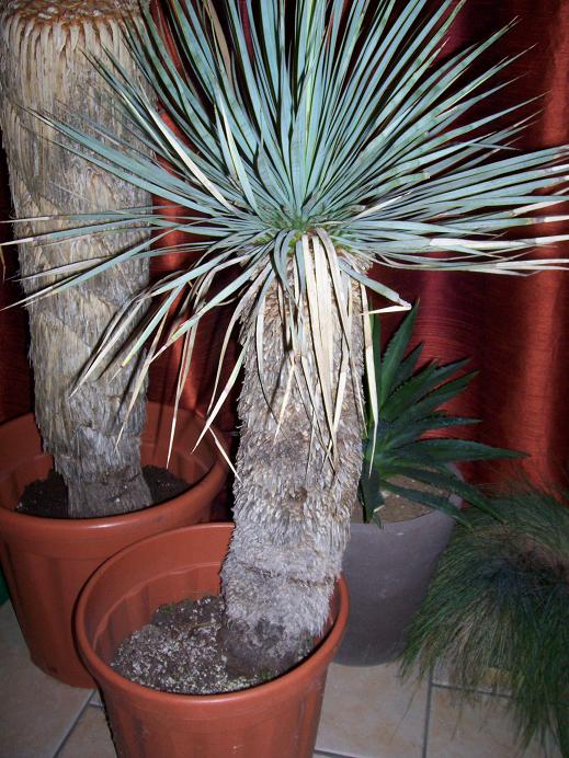 Photo 4347.jpg