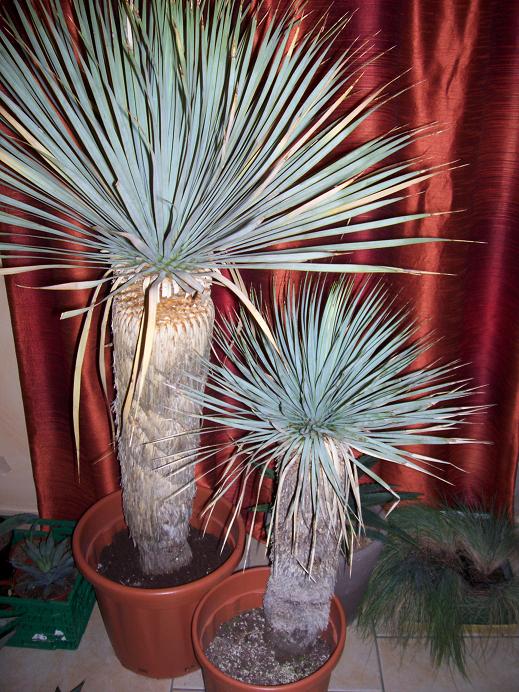 Photo 4345.jpg